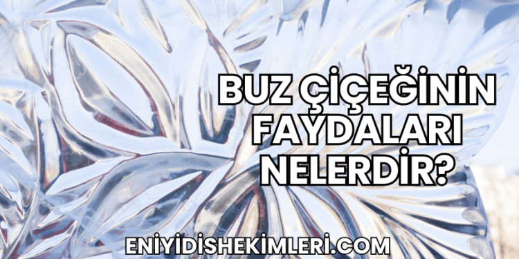 Buz Çiçeğinin Faydaları Nelerdir?
