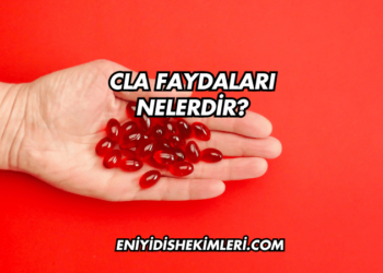 CLA Faydaları Nelerdir?