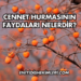 Cennet Hurmasının Faydaları Nelerdir?