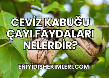 Ceviz Kabuğu Çayı Faydaları Nelerdir?