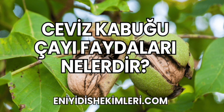 Ceviz Kabuğu Çayı Faydaları Nelerdir?