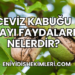 Ceviz Kabuğu Çayı Faydaları Nelerdir?