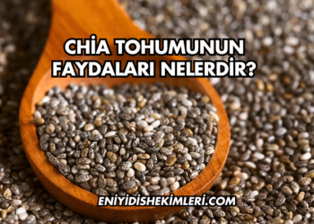 Chia Tohumunun Faydaları Nelerdir?