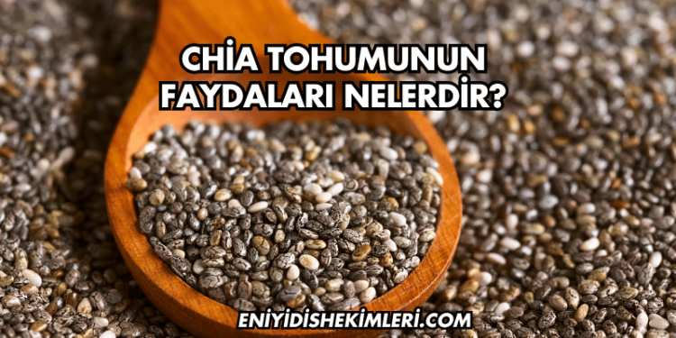 Chia Tohumunun Faydaları Nelerdir?