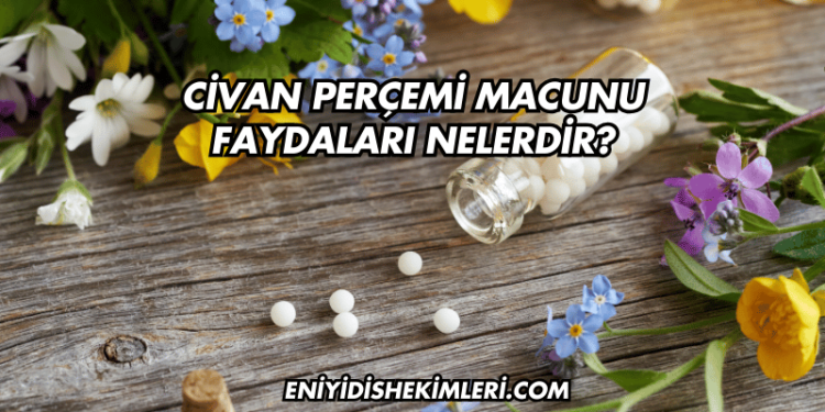 Civan Perçemi Macunu Faydaları Nelerdir?