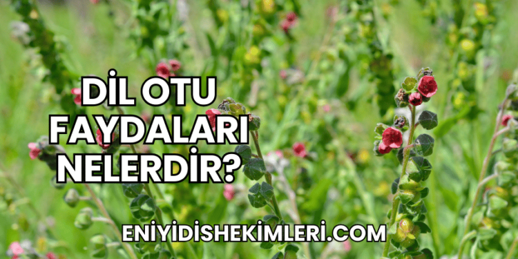 Dil Otu Faydaları Nelerdir?
