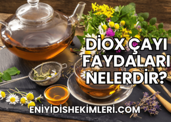 Diox Çayı Faydaları Nelerdir?