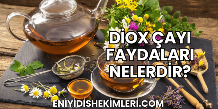 Diox Çayı Faydaları Nelerdir?