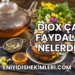 Diox Çayı Faydaları Nelerdir?