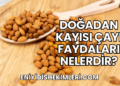 Doğadan Kayısı Çayı Faydaları Nelerdir?