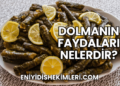 Dolmanın Faydaları Nelerdir?
