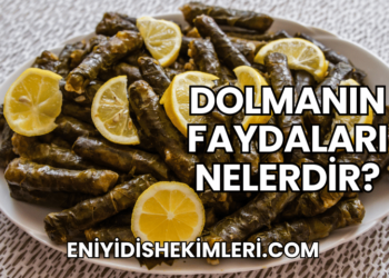 Dolmanın Faydaları Nelerdir?