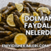 Dolmanın Faydaları Nelerdir?