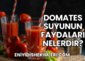 Domates Suyunun Faydaları Nelerdir?