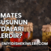 Domates Turşusunun Faydaları Nelerdir?