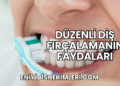 Düzenli Diş Fırçalamanın Faydaları
