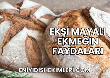 Ekşi Mayalı Ekmeğin Faydaları