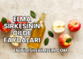 Elma Sirkesinin Cilde Faydaları