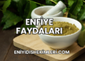 Enfiye Faydaları