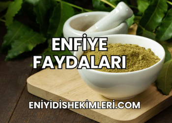 Enfiye Faydaları
