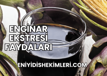 Enginar Ekstresi Faydaları