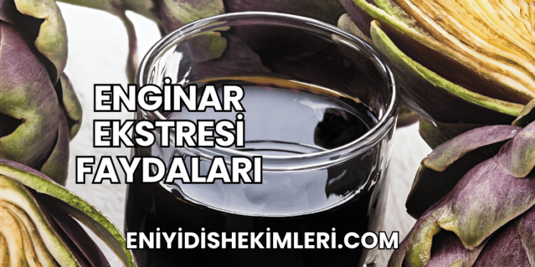 Enginar Ekstresi Faydaları