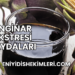 Enginar Ekstresi Faydaları