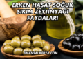 Erken Hasat Soğuk Sıkım Zeytinyağı Faydaları