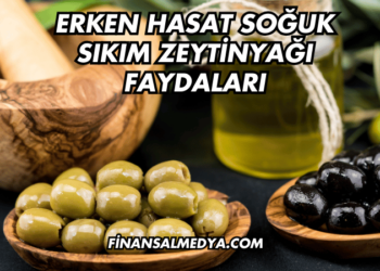 Erken Hasat Soğuk Sıkım Zeytinyağı Faydaları