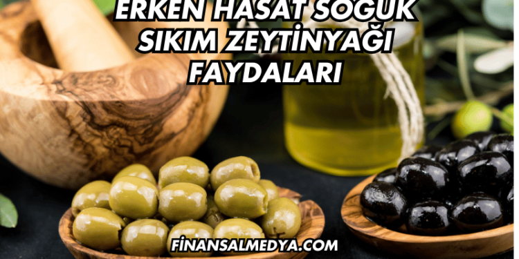 Erken Hasat Soğuk Sıkım Zeytinyağı Faydaları