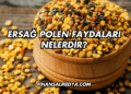 Ersağ Polen Faydaları Nelerdir?