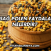 Ersağ Polen Faydaları Nelerdir?
