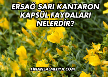 Ersağ Sarı Kantaron Kapsül Faydaları Nelerdir?