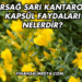 Ersağ Sarı Kantaron Kapsül Faydaları Nelerdir?