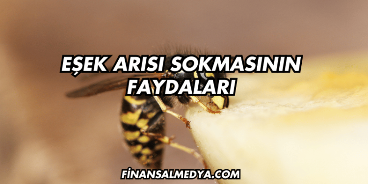 Eşek Arısı Sokmasının Faydaları