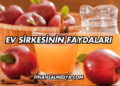 Ev Sirkesinin Faydaları