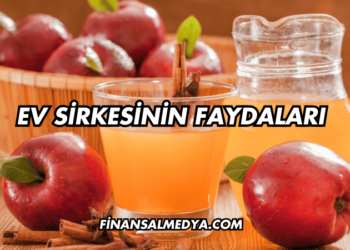 Ev Sirkesinin Faydaları