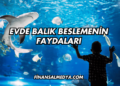 Ev Sirkesinin Faydaları