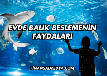 Ev Sirkesinin Faydaları
