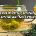 Evelik Otu Çayının Faydaları Nelerdir?