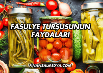 Fasulye Turşusunun Faydaları