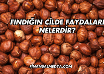 Fındığın Cilde Faydaları Nelerdir?