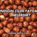 Fındığın Cilde Faydaları Nelerdir?
