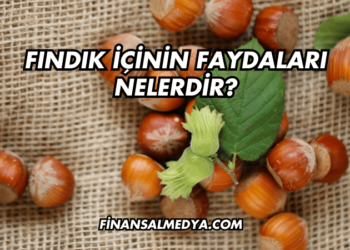 Fındık İçinin Faydaları Nelerdir?