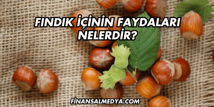Fındık İçinin Faydaları Nelerdir?