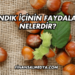 Fındık İçinin Faydaları Nelerdir?