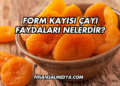 Form Kayısı Çayı Faydaları Nelerdir?