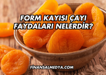Form Kayısı Çayı Faydaları Nelerdir?