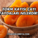 Form Kayısı Çayı Faydaları Nelerdir?