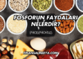 Fosforun Faydaları Nelerdir?
